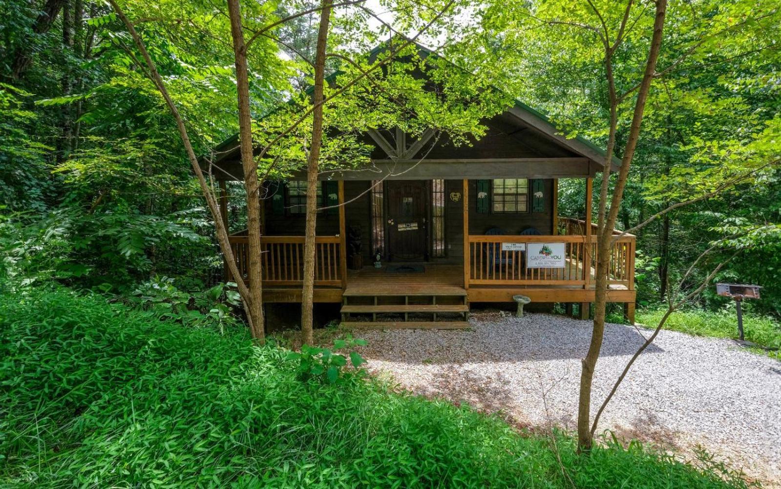 فيلا The Tree House جاتلينبرج المظهر الخارجي الصورة