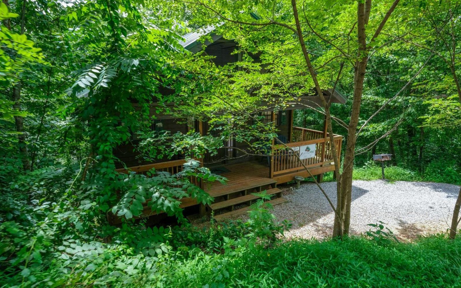 فيلا The Tree House جاتلينبرج المظهر الخارجي الصورة